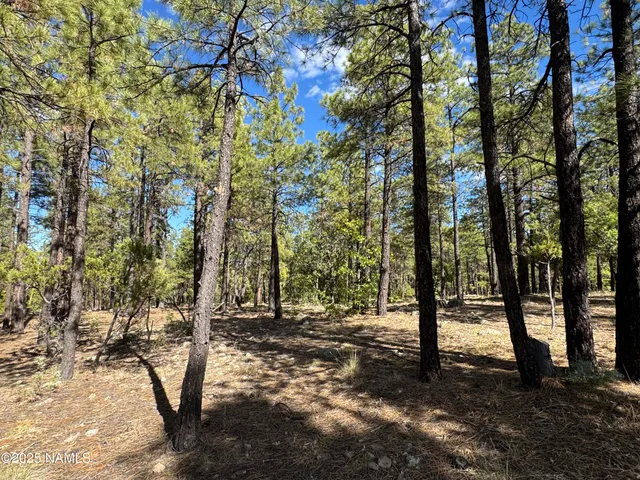 $210,000 | 28 Escalante, Williams, AZ 86046