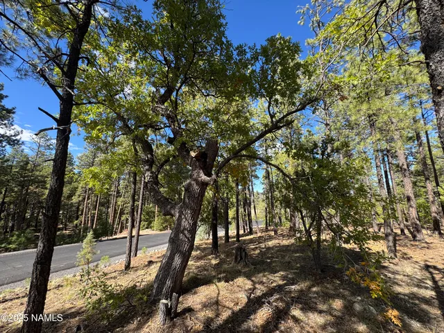 $210,000 | 28 Escalante, Williams, AZ 86046