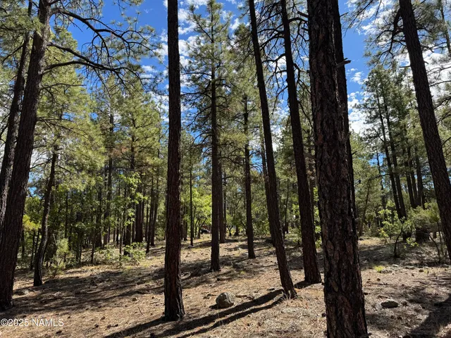 $210,000 | 28 Escalante, Williams, AZ 86046