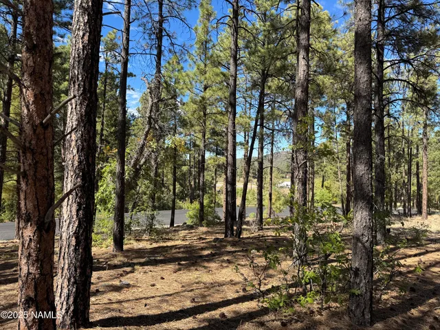 $210,000 | 28 Escalante, Williams, AZ 86046