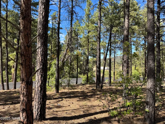 $210,000 | 28 Escalante, Williams, AZ 86046