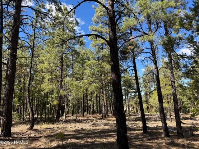 $210,000 | 28 Escalante, Williams, AZ 86046