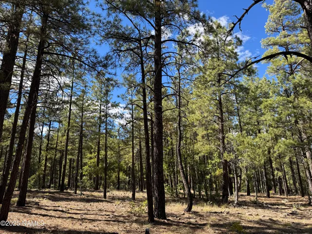 $210,000 | 28 Escalante, Williams, AZ 86046