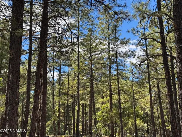 $210,000 | 28 Escalante, Williams, AZ 86046