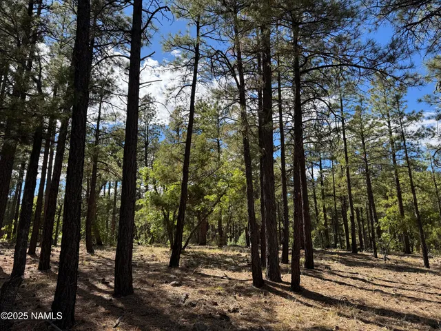 $210,000 | 28 Escalante, Williams, AZ 86046