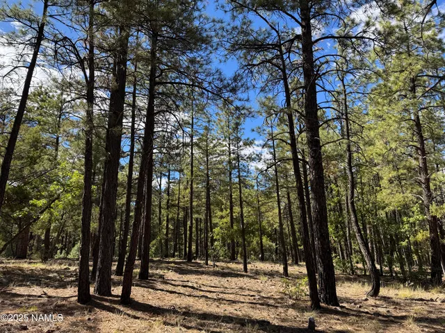 $210,000 | 28 Escalante, Williams, AZ 86046