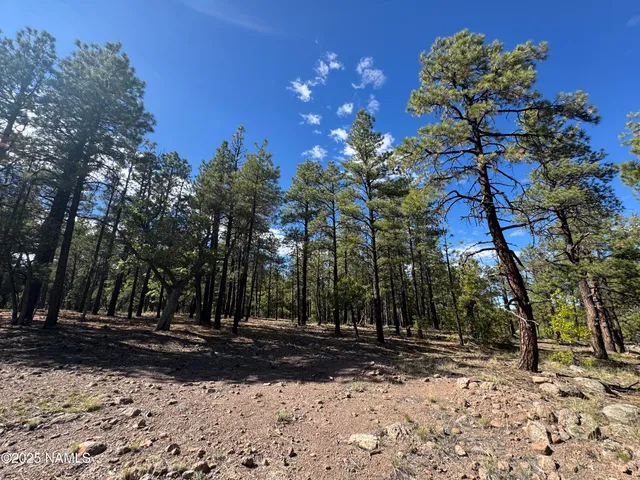 $210,000 | 28 Escalante, Williams, AZ 86046