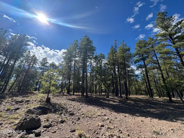 $210,000 | 28 Escalante, Williams, AZ 86046