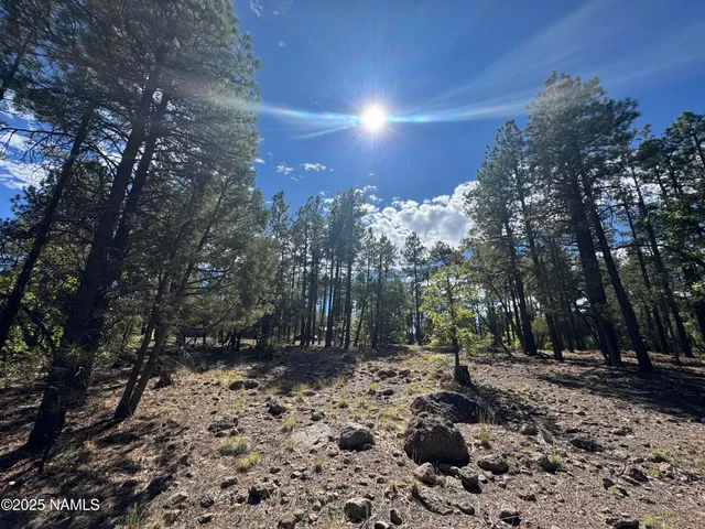 $210,000 | 28 Escalante, Williams, AZ 86046