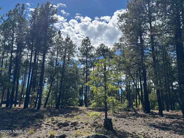 $210,000 | 28 Escalante, Williams, AZ 86046