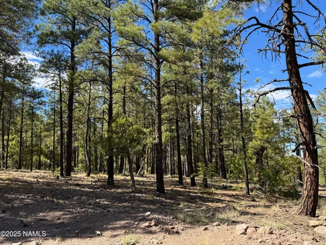 $210,000 | 28 Escalante, Williams, AZ 86046