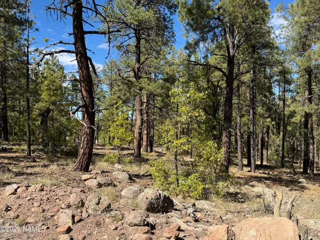 $210,000 | 28 Escalante, Williams, AZ 86046