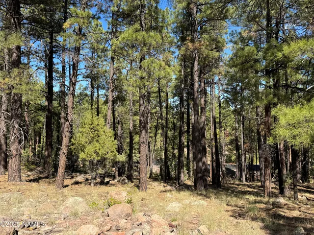 $210,000 | 28 Escalante, Williams, AZ 86046