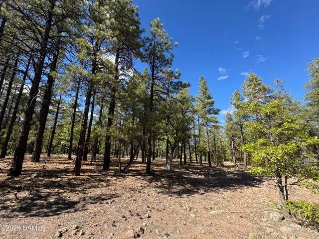 $210,000 | 28 Escalante, Williams, AZ 86046