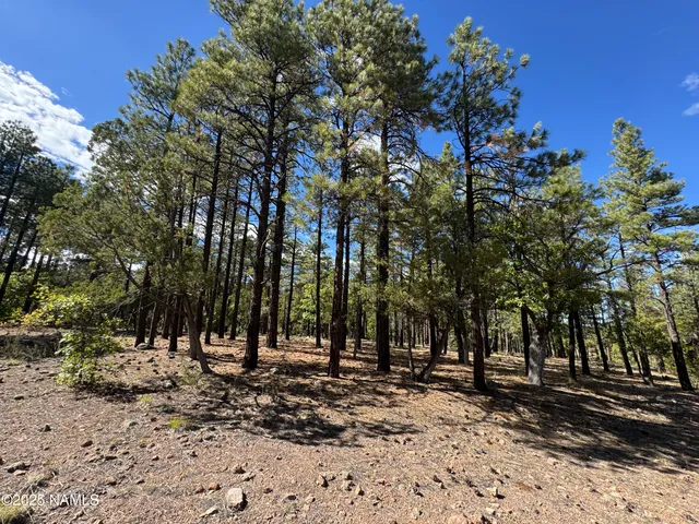 $210,000 | 28 Escalante, Williams, AZ 86046