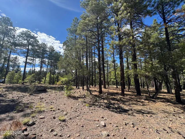 $210,000 | 28 Escalante, Williams, AZ 86046