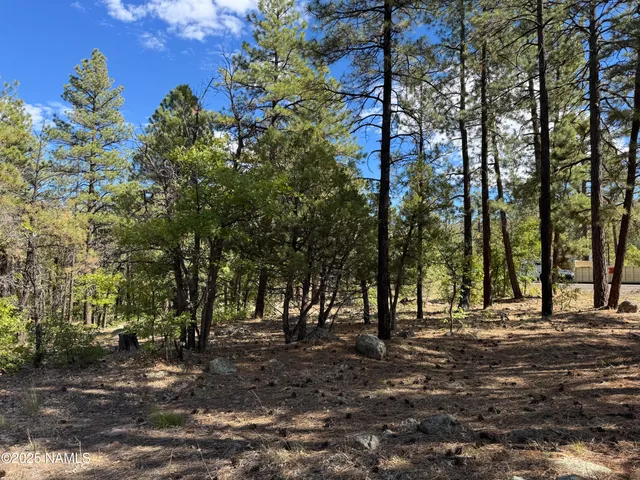 $210,000 | 28 Escalante, Williams, AZ 86046