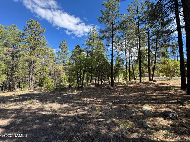 $210,000 | 28 Escalante, Williams, AZ 86046