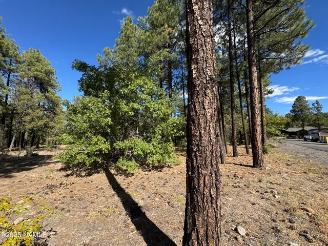 $210,000 | 28 Escalante, Williams, AZ 86046