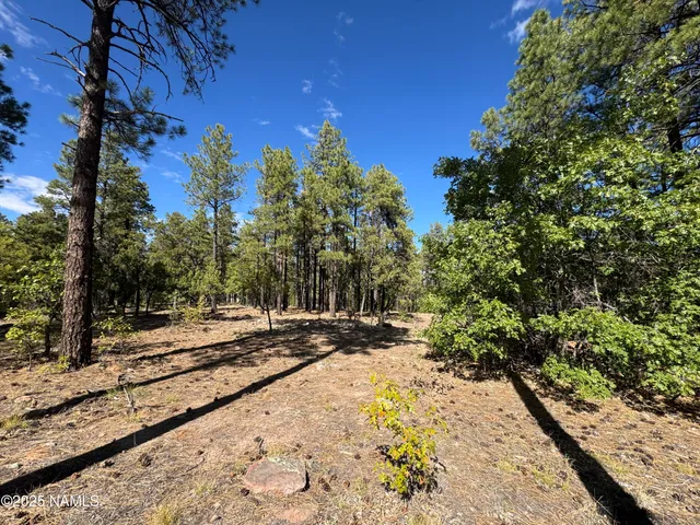 $210,000 | 28 Escalante, Williams, AZ 86046