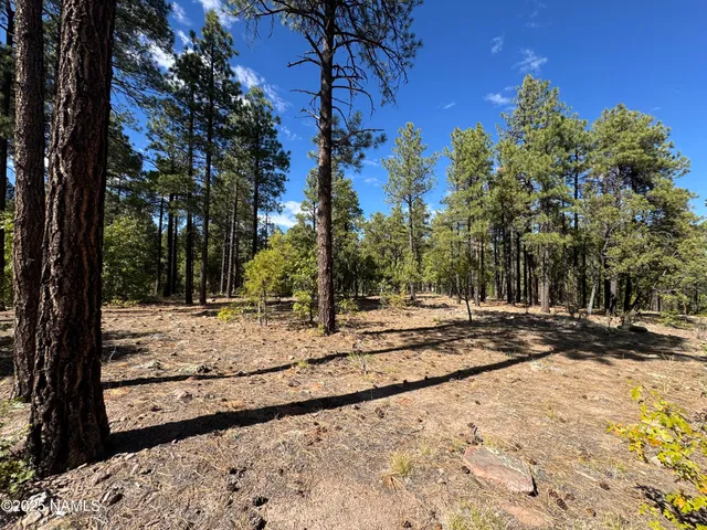 $210,000 | 28 Escalante, Williams, AZ 86046