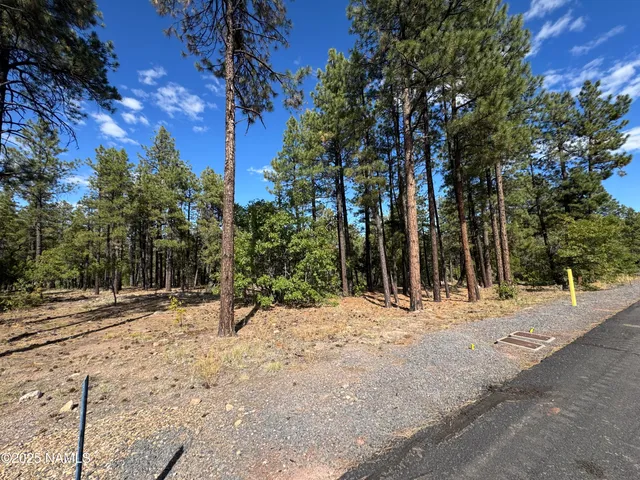 $210,000 | 28 Escalante, Williams, AZ 86046