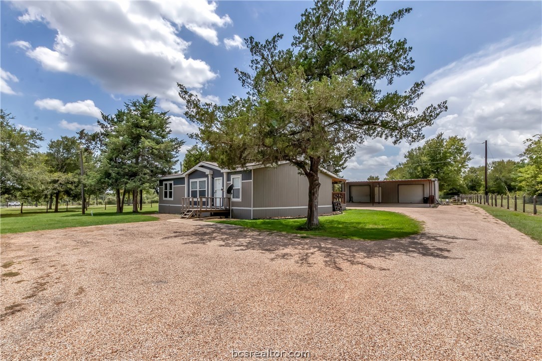 a tree in front of a house next to a yard