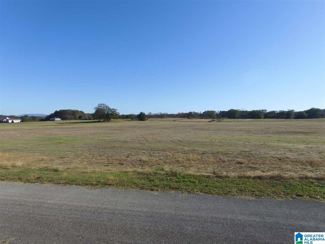 401 Brickstore Road, Unit 14 / Eastaboga, AL 36260 - Photo 6 of 7