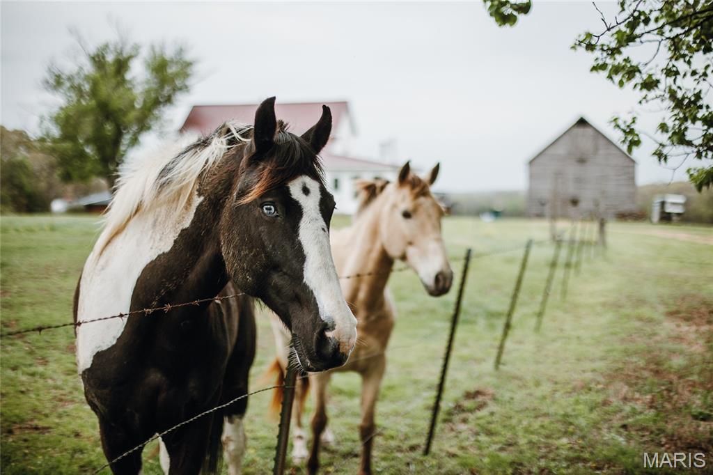 4386 Durbin Road Bland, MO 65014 - Photo 49 of 79