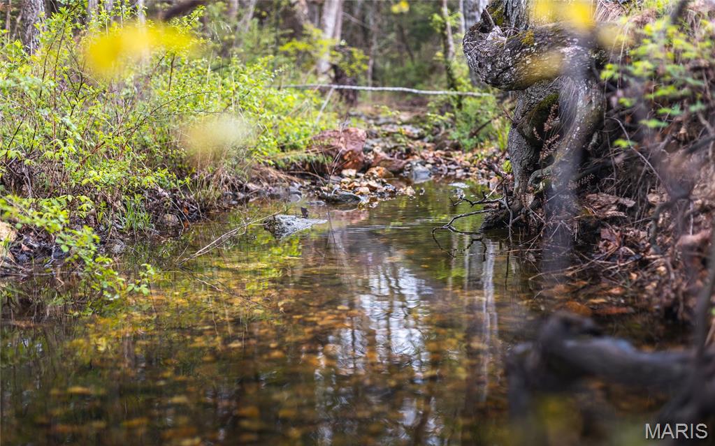 4386 Durbin Road Bland, MO 65014 - Photo 54 of 79