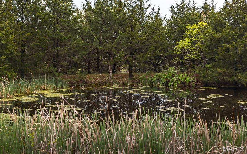 4386 Durbin Road Bland, MO 65014 - Photo 55 of 79