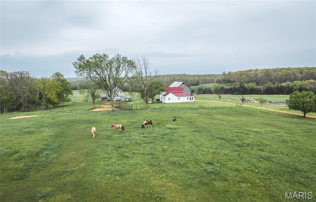 4386 Durbin Road Bland, MO 65014 - Photo 56 of 79