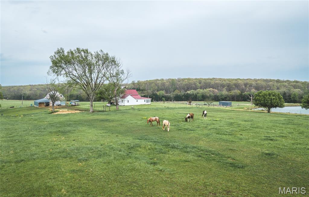 4386 Durbin Road Bland, MO 65014 - Photo 58 of 79