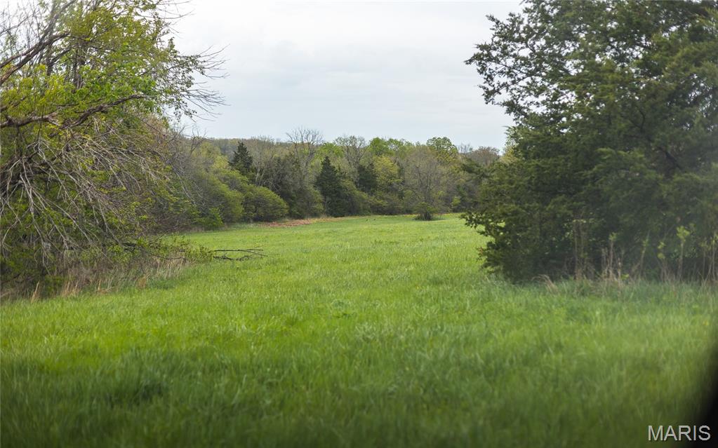 4386 Durbin Road Bland, MO 65014 - Photo 59 of 79