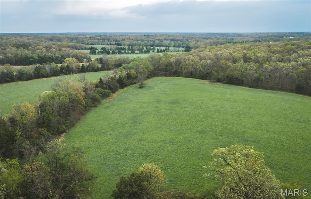 4386 Durbin Road Bland, MO 65014 - Photo 69 of 79