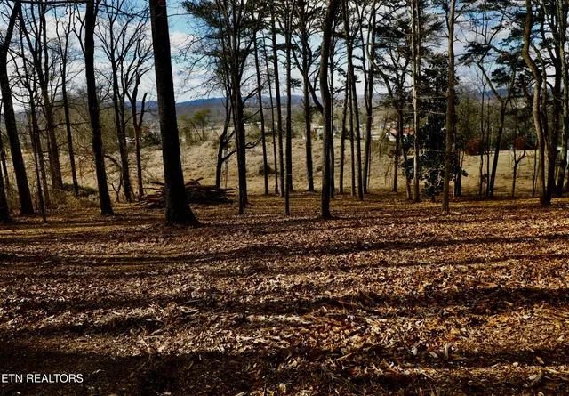 $89,000 | Lot 1 East Crestview Drive, Madisonville, TN 37354