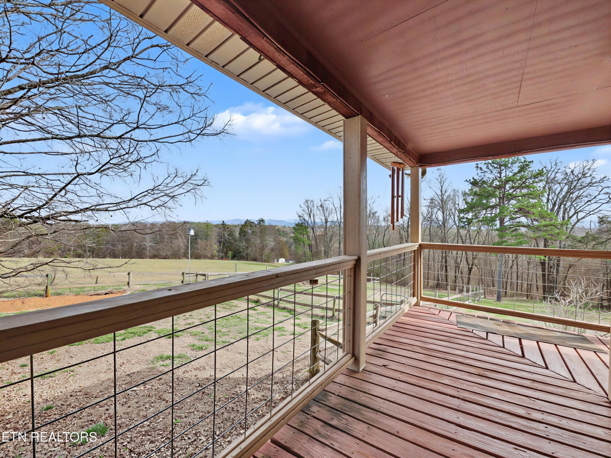 6239 North Trigonia Road Greenback, TN 37742 - Photo 42 of 56