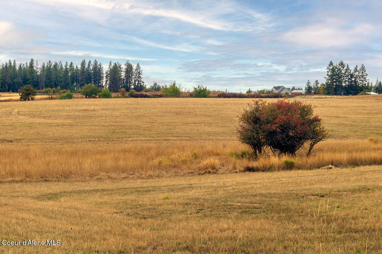 East Van Dusen Road Harrison, ID 83833 - Photo 9 of 9 20251004Lemieux_Hay-220-Edit