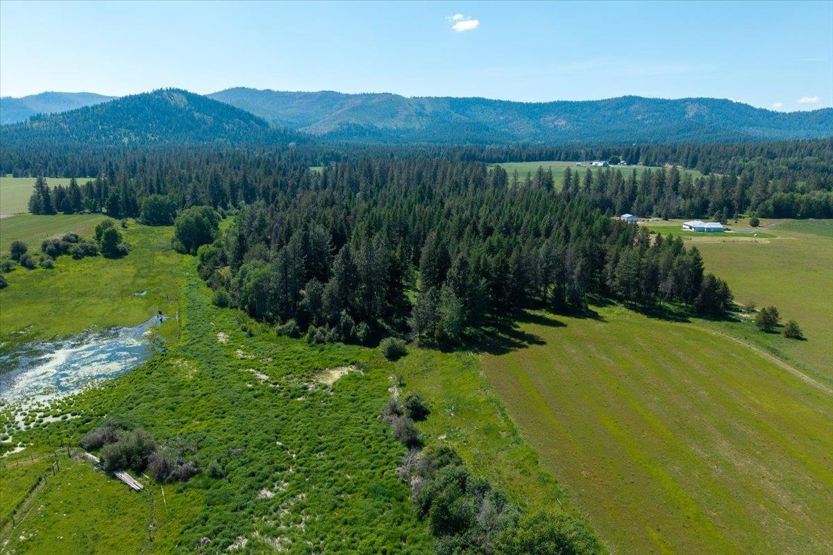 4668 Williams Valley Road Clayton, WA 99110 - Photo 25 of 44