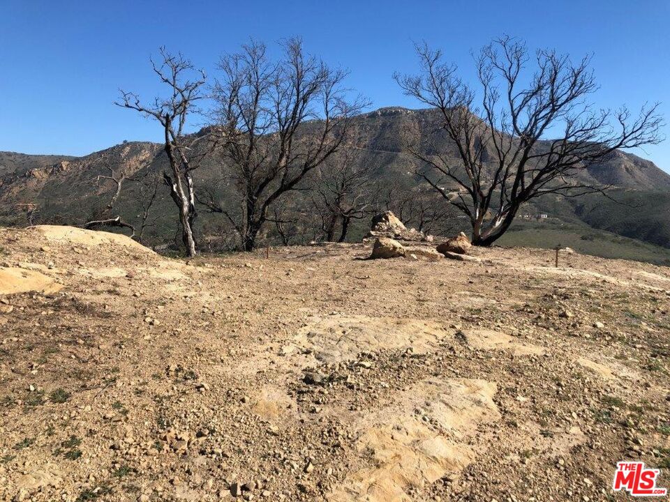 3620 Noranda Lane Malibu, CA 90265 - Photo 3 of 5 a view of snow on the road