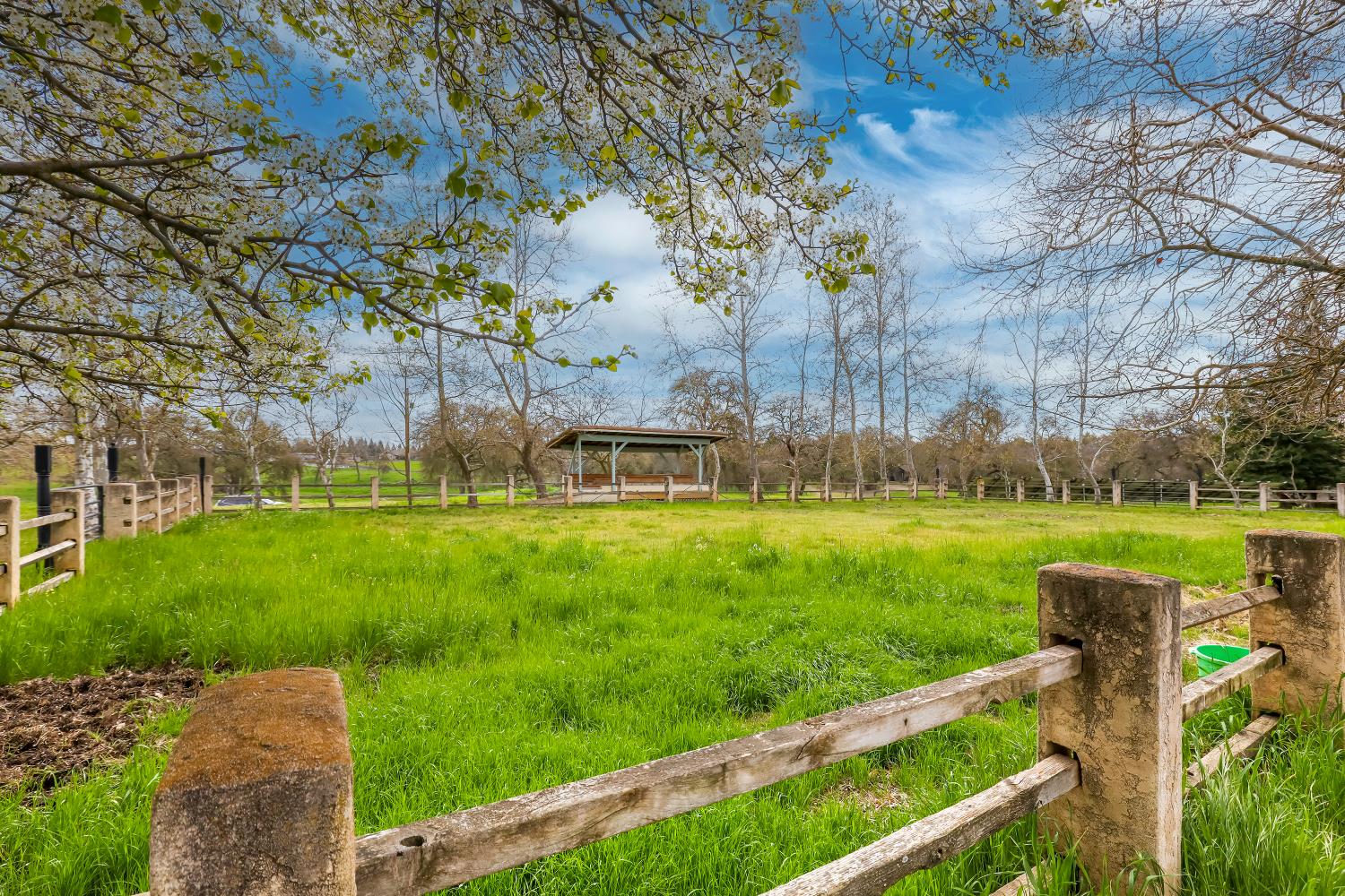 24943 North Mcintire Road Clements, CA 95227 - Photo 63 of 73