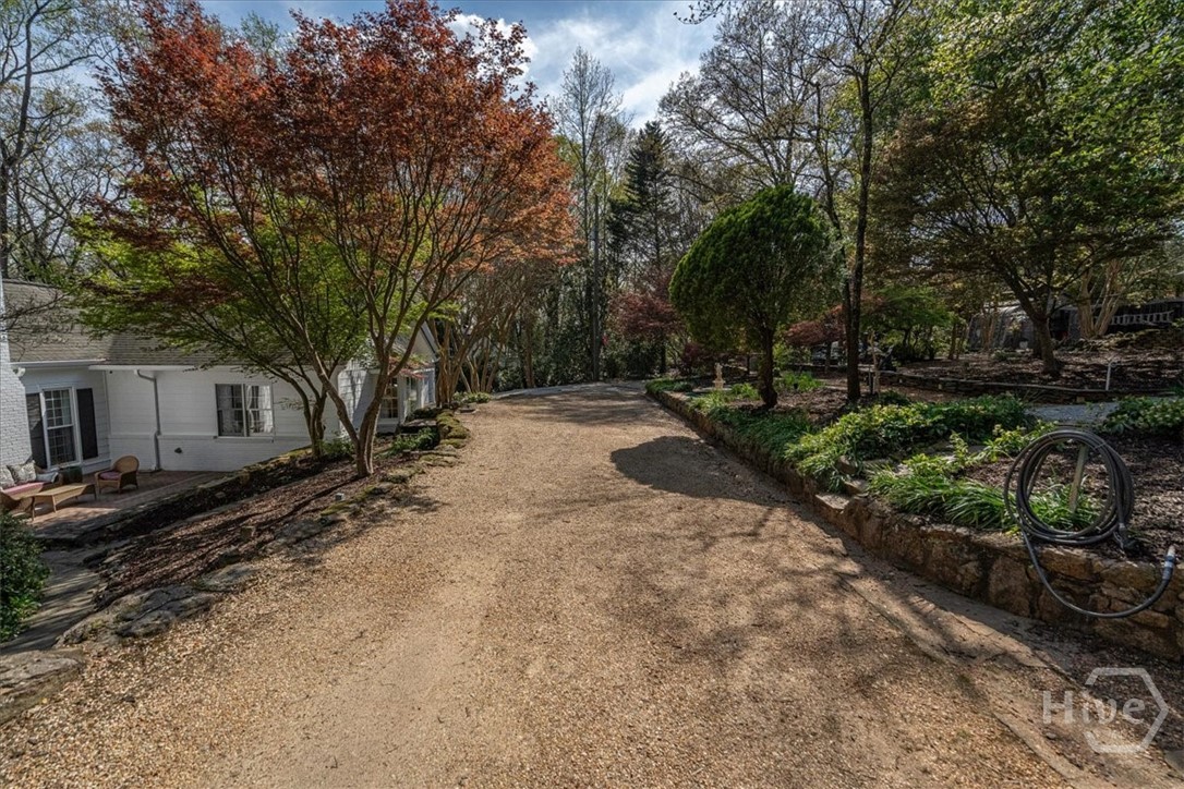 591 Milledge Terrace Athens, GA 30606 - Photo 12 of 75