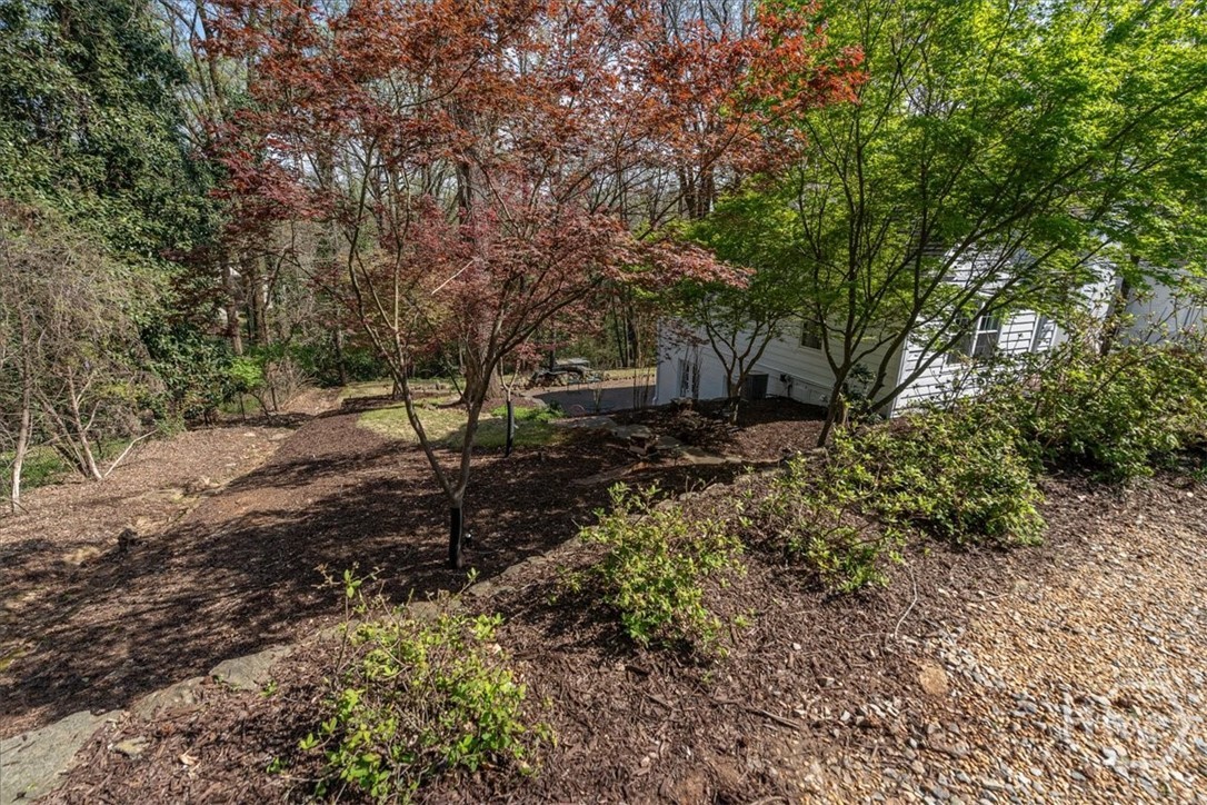 591 Milledge Terrace Athens, GA 30606 - Photo 14 of 75