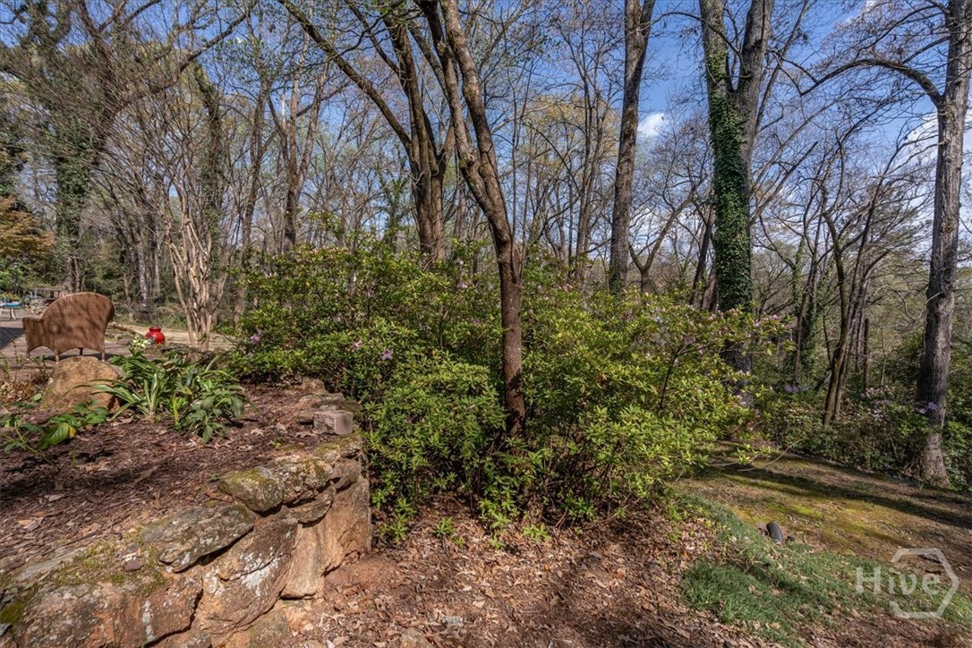 591 Milledge Terrace Athens, GA 30606 - Photo 17 of 75