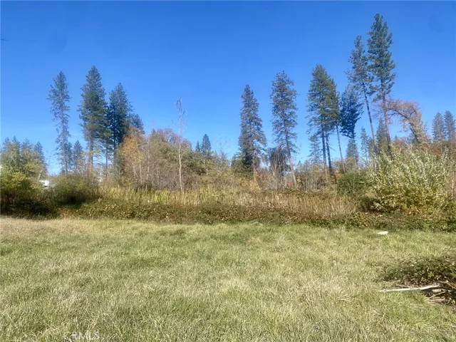 a view of a yard with trees in the background