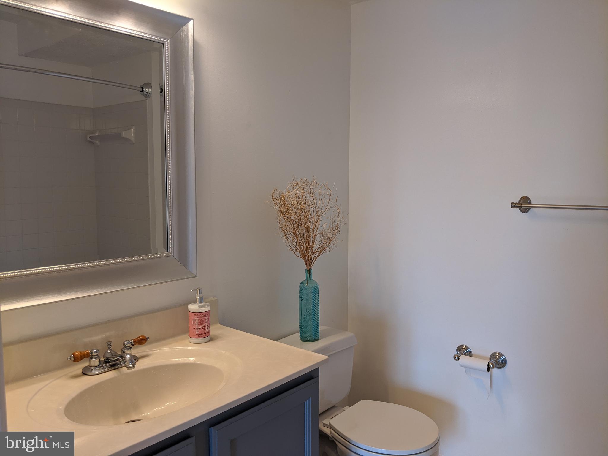 10109 Ridge Manor Terrace, Unit 4000E Damascus, MD 20872 - Photo 14 of 28 Gallery Image 14