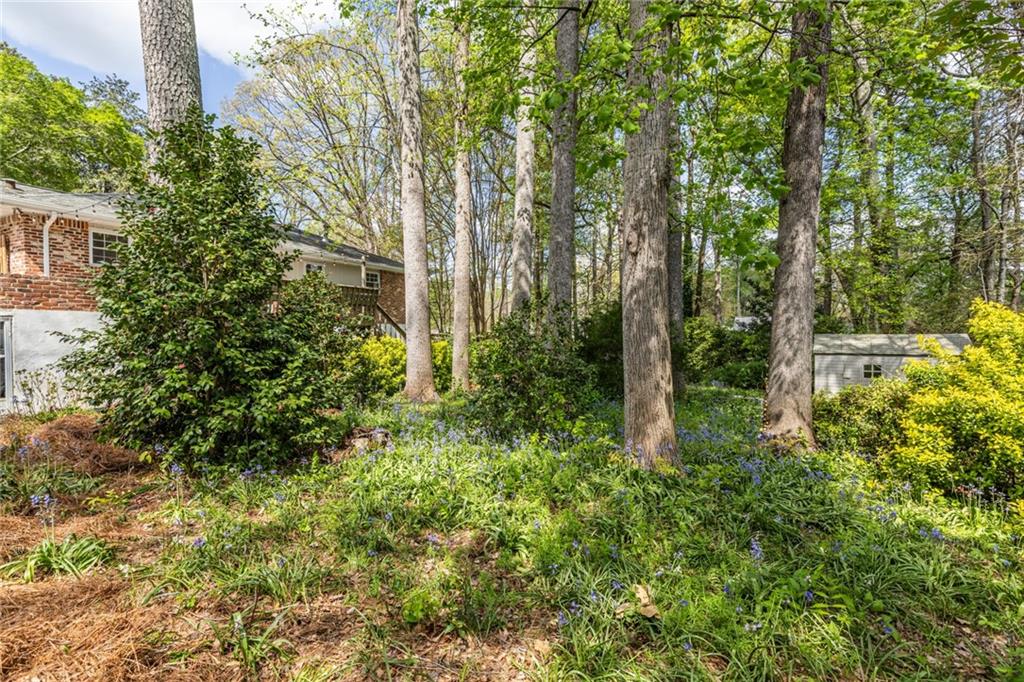 2976 Atterberry Court Decatur, GA 30033 - Photo 58 of 68