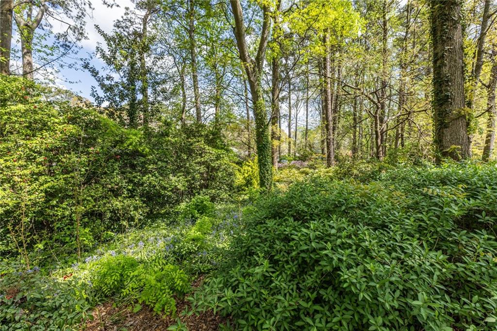 2976 Atterberry Court Decatur, GA 30033 - Photo 64 of 68