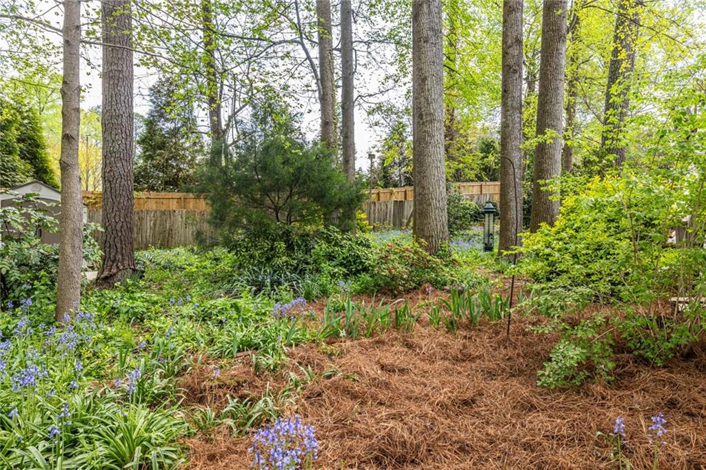 2976 Atterberry Court Decatur, GA 30033 - Photo 66 of 68