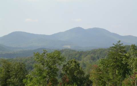 Lot 7 Carter Cove Road Warne, NC 28909 - Photo 1 of 1 Main View